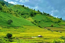 View - Ngắm Ruộng Bậc Thang Mù Cang Chải Mùa Nước Đổ Đẹp Nghiêng Ngả | Báo Tri thức và Cuộc sống - TIN TỨC PHỔ BIẾN KIẾN THỨC 24H