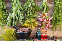 Những loại thảo dược có tác dụng trị cảm lạnh cảm cúm (P1)