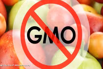 Phong trào phản đối thực phẩm GMO có đi ngược lại khoa học?