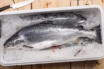 Mẹo bảo quản cá tươi ngon, dinh dưỡng như vừa mới mua