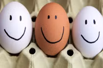 Trứng gà vỏ nâu hay vỏ trắng nhiều dinh dưỡng hơn?