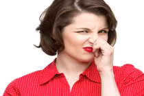 Nực cười càng ăn đồ tốt cho sức khỏe xì hơi càng ghê