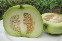 Cách rửa dưa lê để loại bỏ tối đa thuốc trừ sâu