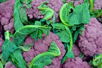 Lợi ích khi ăn các loại rau củ quả có màu tím