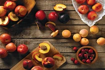 Thực phẩm dễ gây hóc, cực nguy hiểm với trẻ dưới 5 tuổi