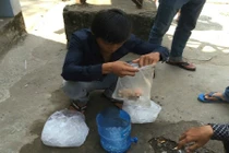 Phẫu thuật ghép tay cho nam thanh niên bị côn đồ chém