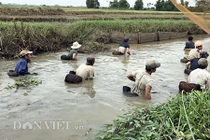 Xem dân xứ Quảng bắt cá bằng nơm tre mùa mưa lũ