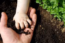 Nguyên tắc duy trì khả năng sinh sản sau tuổi 30