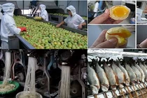 10 thực phẩm TQ độc hại khiến cả thế giới sợ hãi