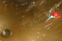 Điểm mặt 10 tạp chất có trong nguồn nước ô nhiễm