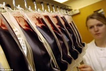 Sắp sản xuất được máu nhân tạo từ tế bào gốc?