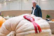 Nực cười củ quả “khổng lồ - tí hon" đặt cạnh nhau