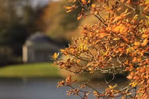 5 bệnh mùa thu dễ mắc nhất và cách phòng tránh