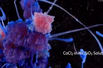 Những phản ứng hóa học đẹp kỳ diệu đến không ngờ