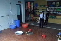 Dốc ngược trẻ vào máy vặt lông gà: Có thể khởi tố hình sự?