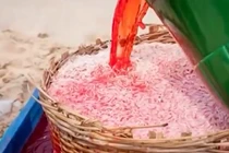 Rùng mình cảnh nhuộm ruốc bằng hóa chất