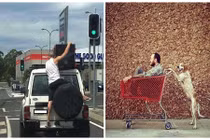 Chộp khoảnh khắc siêu hài hước trong cuộc sống