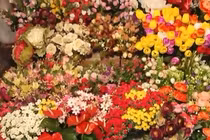 Bí kíp chọn hoa phù hợp, đẹp cho ngày Tết