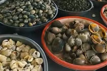 Cảnh báo ngộ độc... ốc