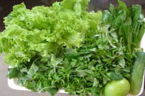 Cách giữ rau sống tươi lâu không phải ai cũng biết