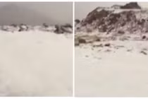 Cảnh hiếm có: Tuyết phủ trắng sa mạc khô cằn ở Ả Rập 