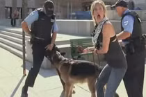 Clip: Hoảng hốt khi thấy chó cắn chỗ hiểm của cảnh sát