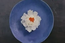 Hướng dẫn cắt tỉa hoa mẫu đơn bằng đu đủ cực đẹp