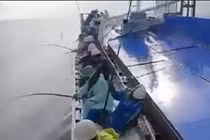 Ngỡ ngàng với “cần câu Doremon” thu hàng tấn cá 1 ngày