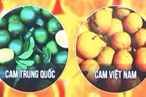 Cách phân biệt cam, hồng giòn, dưa lưới Việt Nam và Trung Quốc