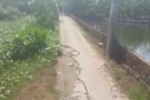 Cận cảnh con đường đau khổ nhất Hải Phòng