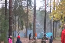 Kiểu đốn cây ngớ ngẩn chưa từng thấy