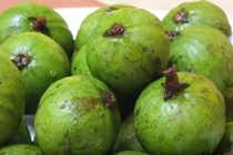 6 tác dụng của quả sấu đối với sức khỏe nên biết