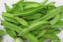 Những món ăn ngon từ đậu rồng, loại rau “mọc trên mây“