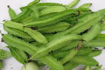 Những món ăn ngon từ đậu rồng, loại rau “mọc trên mây“