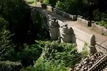 Bí ẩn cây cầu tự sát của loài chó ở Scotland