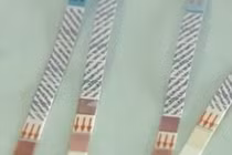 Video: Sắp có que thử nhanh thuốc an thần trong thịt lợn