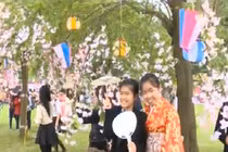 Thú vị bất ngờ ở lễ hội hoa anh đào tại Hà Nội