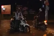 Video: “Ăn hôi” triều cường, lái xe ba gác “hốt bạc“