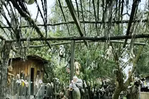 Video: Bí mật phía sau hòn đảo búp bê đáng sợ