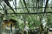 Video: Bí mật phía sau hòn đảo búp bê đáng sợ