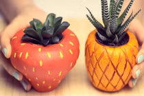 Cách làm chậu cây hình hoa quả cho bạn nữ khéo tay