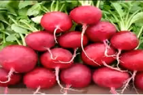 Ăn thực phẩm này, da chẳng bao giờ nứt nẻ vào mùa đông