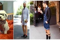 “Chộp” những khoảnh khắc hài hước trong cuộc sống