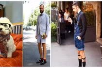 “Chộp” những khoảnh khắc hài hước trong cuộc sống