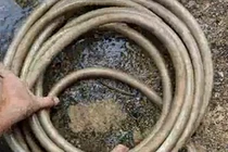 Cách vệ sinh bên trong dây bơm nước đơn giản không ngờ