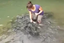 Đàn cá bạo dạn nhất thế giới