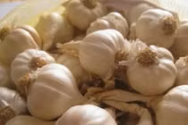 Công dụng tuyệt vời của tỏi với bệnh viêm mũi dị ứng