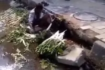 Phát hãi cảnh rửa rau bằng nước cống ven đường