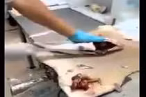 Cách mổ cá nhanh sạch gây ngỡ ngàng