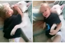 Bé làm đủ trò với cún cưng siêu dễ thương